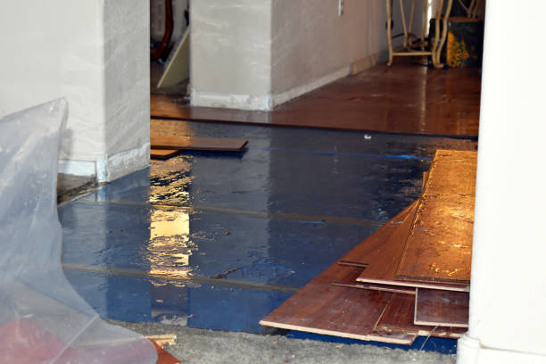 Professional Emergency Water Damage Restoration technician working in Bunnlevel, NC